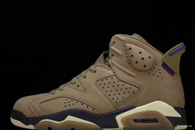 6 Retro FD1643-300  Brown Gore-Tex Kelp Jordan 0807